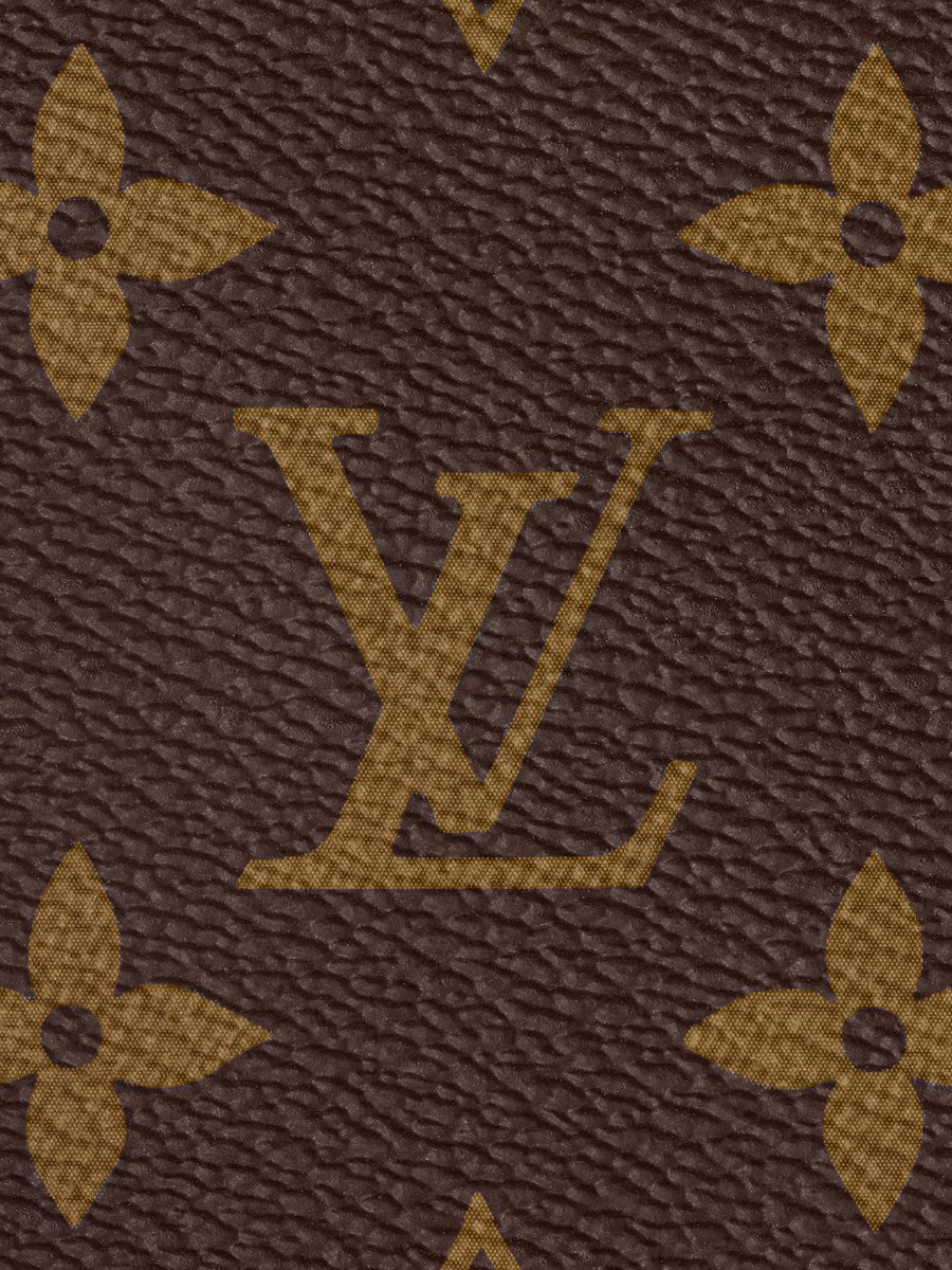 Sac LV Marron avec pochette