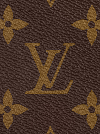 Sac LV Marron avec pochette